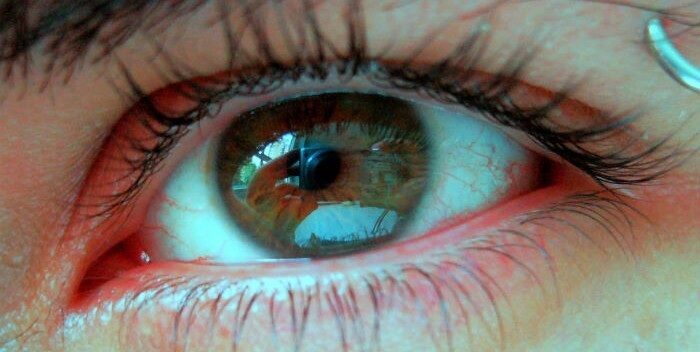 Imagen de la noticia: Conoce la WebCam con forma de ojo humano que te sorprenderá