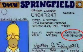 Imagen de la noticia: Este 12 de mayo Homero Simpson esta de cumpleaños, nació en 1956.(Es Tauro)