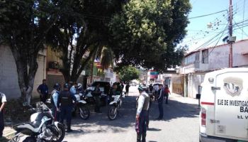 Imagen de la noticia: Estado Mérida: Cicpc capturó a una mujer por robar más de 60 mil dólares
