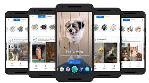 Imagen de la noticia: Google lanza Pet Portraits: la app que encuentra a tu mascota en obras de arte