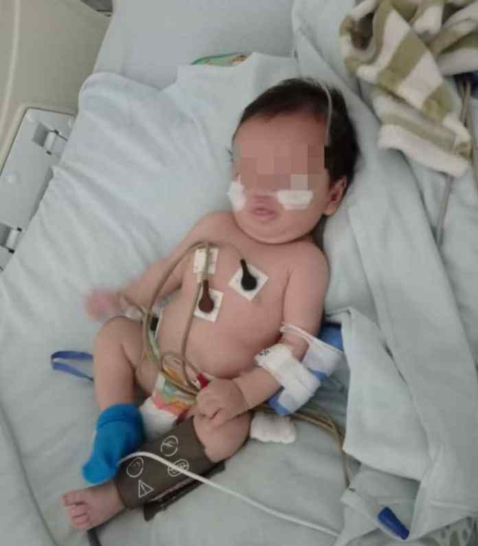 Imagen de la noticia: Colombia: Padres venezolanos piden ayuda para bebé que nació con “sangre blanca”