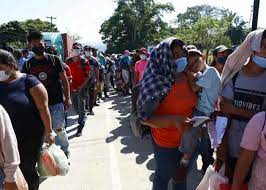 Imagen de la noticia: México: Detienen a 164 migrantes sin papeles, entre ellos 12 venezolanos