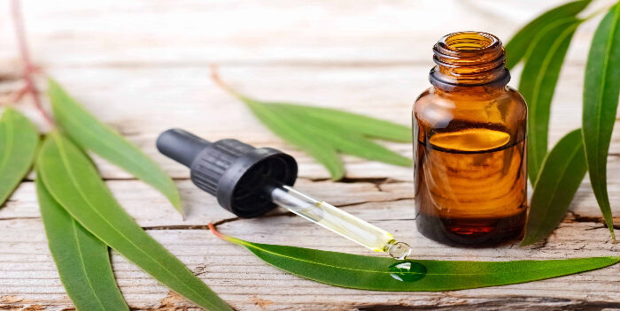 Imagen de la noticia: Elimina las manchas de la cara con aceite esencial de eucalipto