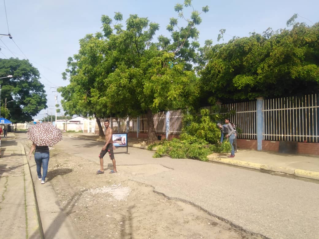 Imagen de la noticia: Municipio Cabimas: lmauca realiza jornada de limpieza integral en el Preescolar Estadal Girasol