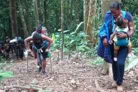 Imagen de la noticia: Panamá: Detienen a dos presuntos coyotes al dejar abandonados a un grupo de venezolanos en la selva de Darién