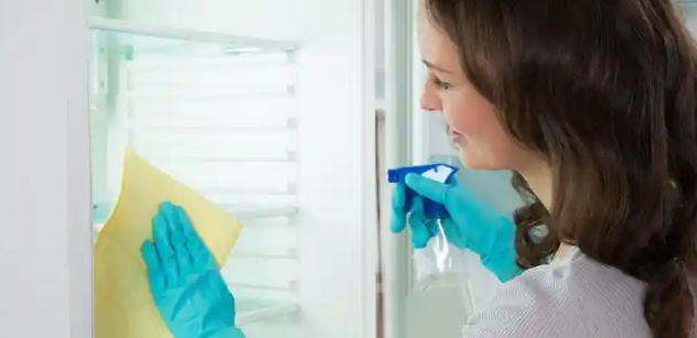 Imagen de la noticia: ¿Cómo eliminar el mal olor del refrigerador con vainilla?