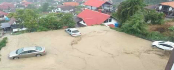 Imagen de la noticia: Estado Aragua: Intensas lluvias dejan inundaciones en La Colonia Tovar