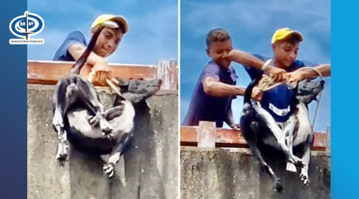Imagen de la noticia: Estado Apure: Imputarán a dos adolescentes por lanzar un perro desde un puente