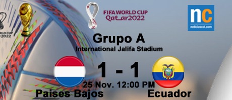 Imagen de la noticia: Mundial Qatar 2022: Países Bajos y Ecuador empataron 1-1