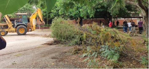 Imagen de la noticia: Municipio Cabimas: Realizan jornada de limpieza en áreas de LUZ-COL