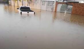 Imagen de la noticia: Estado Apure: Fuertes precipitaciones afectaron a varios municipio del estado