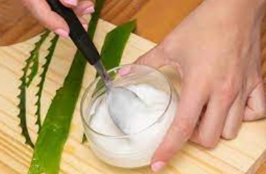 Imagen de la noticia: Restaura el cabello seco con aloe vera y aceite de coco