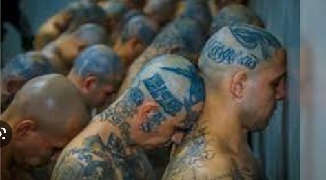 Imagen de la noticia: El Salvador: Trasladan otros 2.000 pandilleros a nueva cárcel