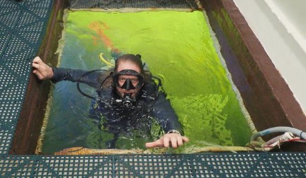Imagen de la noticia: Un investigador de Florida vivirá 100 días bajo el agua con fines científicos