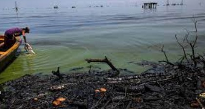 Imagen de la noticia: Estado Zulia: Inicia evaluación para saneamiento del Lago de Maracaibo