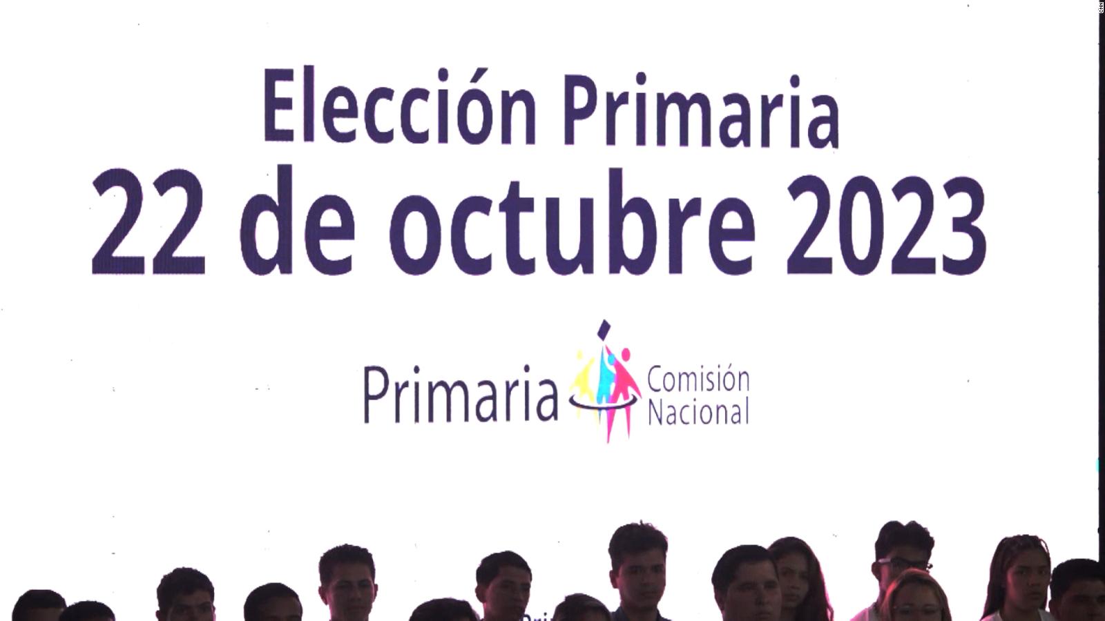 Imagen de la noticia: Elecciones Primarias se aplazarían varias semanas si hay apoyo del CNE