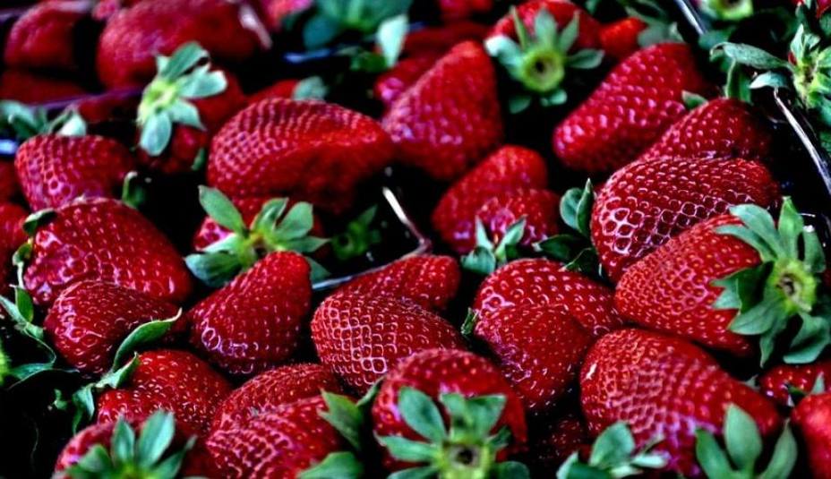 Imagen de la noticia: Siete beneficios de comer fresas: así se mejora su organismo y salud