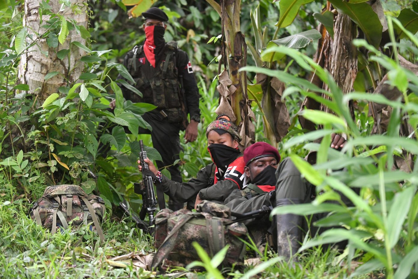 Imagen de la noticia: Colombia y el ELN amplían el cese al fuego por seis meses
