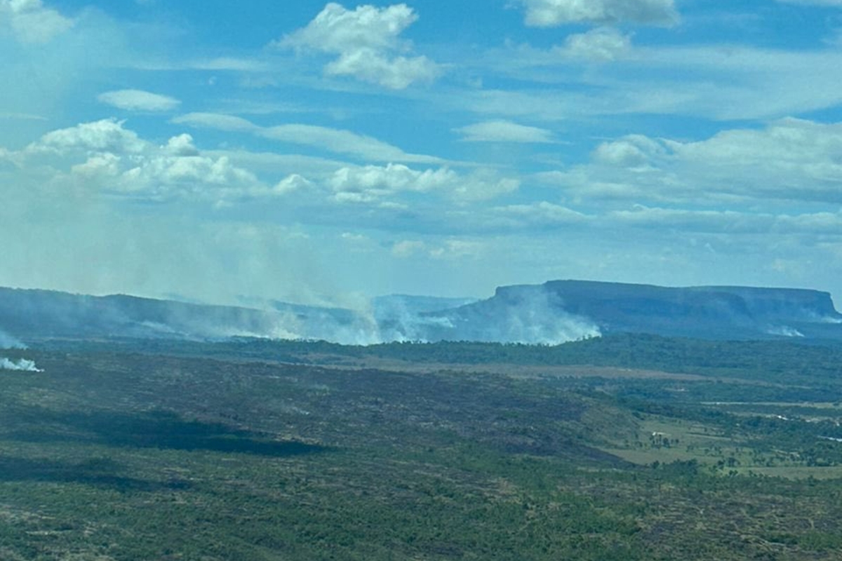 Imagen de la noticia: Más de 16.000 hectáreas afectadas en Venezuela por incendios forestales en cinco meses